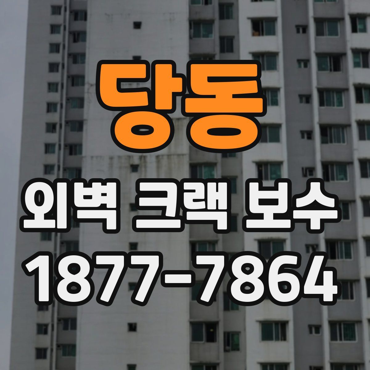 당동 외벽 크랙 보수