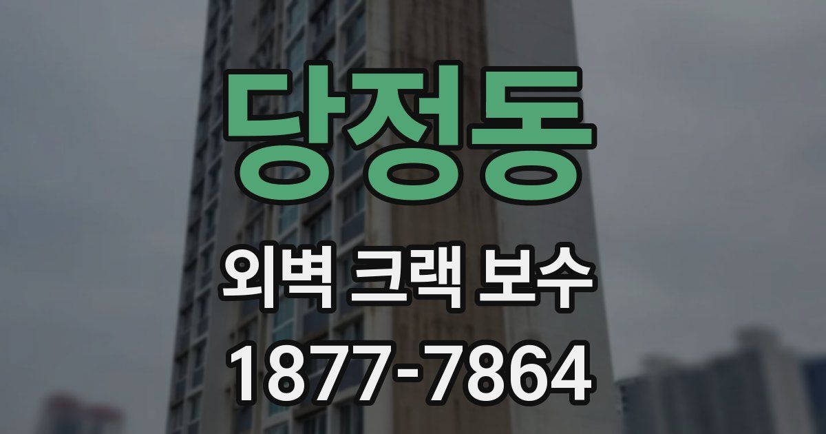 당정동 외벽 크랙 보수