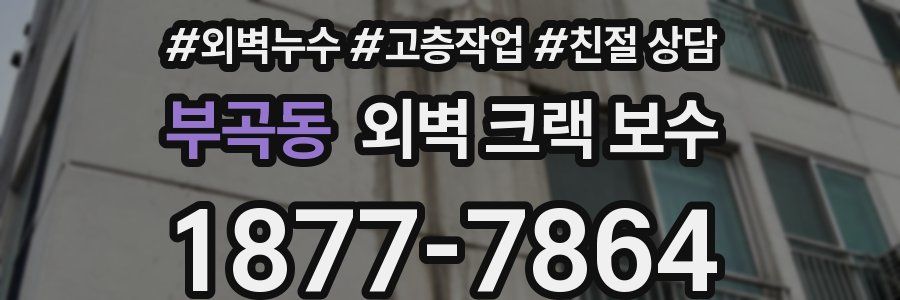 부곡동 외벽 크랙 보수