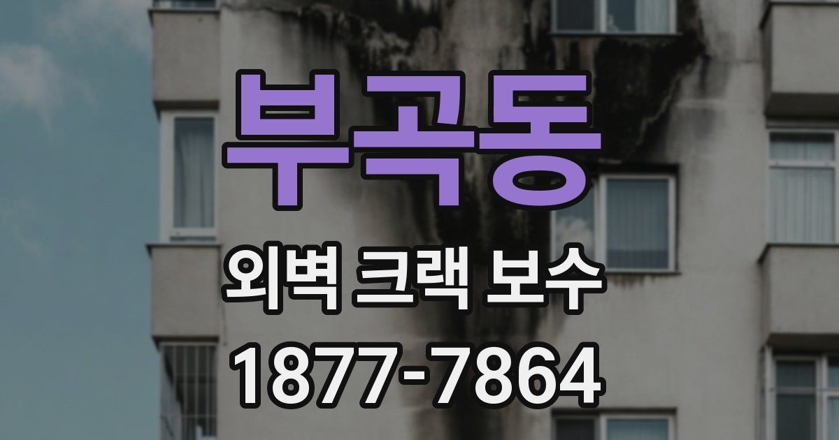 부곡동 외벽 크랙 보수