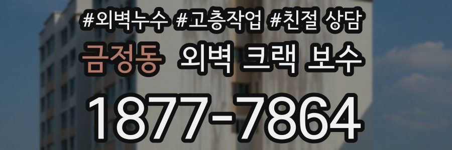 금정동 외벽 크랙 보수