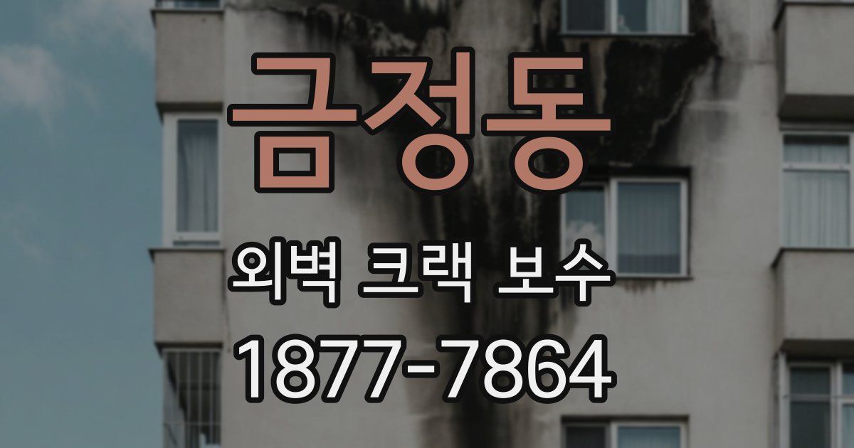 금정동 외벽 크랙 보수