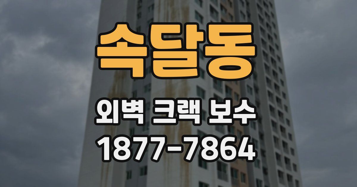 속달동 외벽 크랙 보수