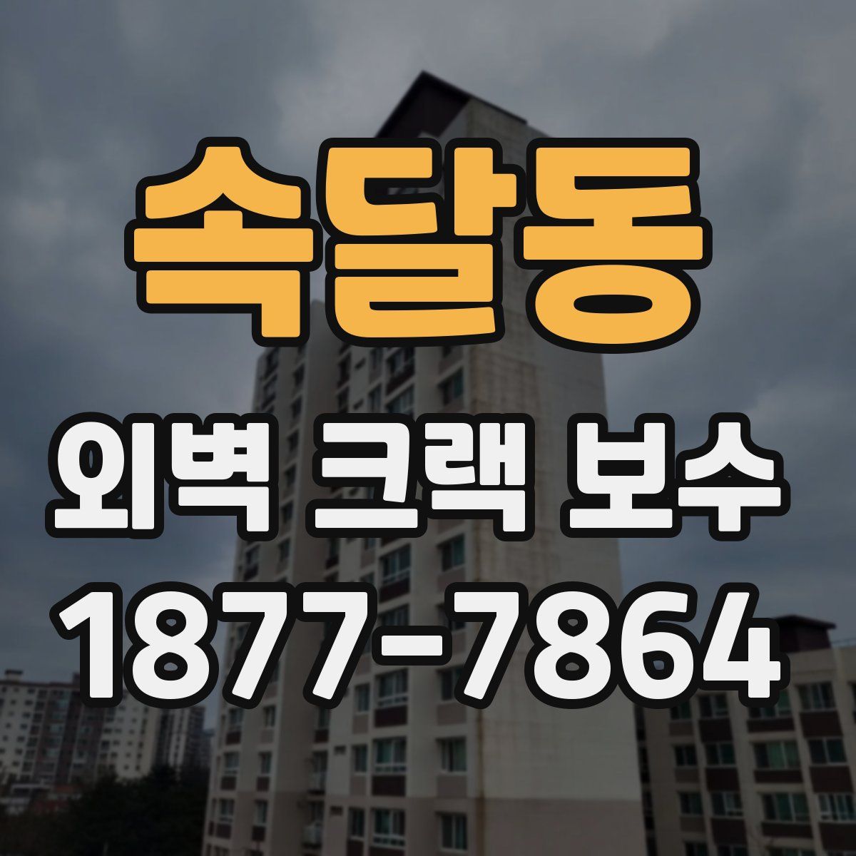 속달동 외벽 크랙 보수