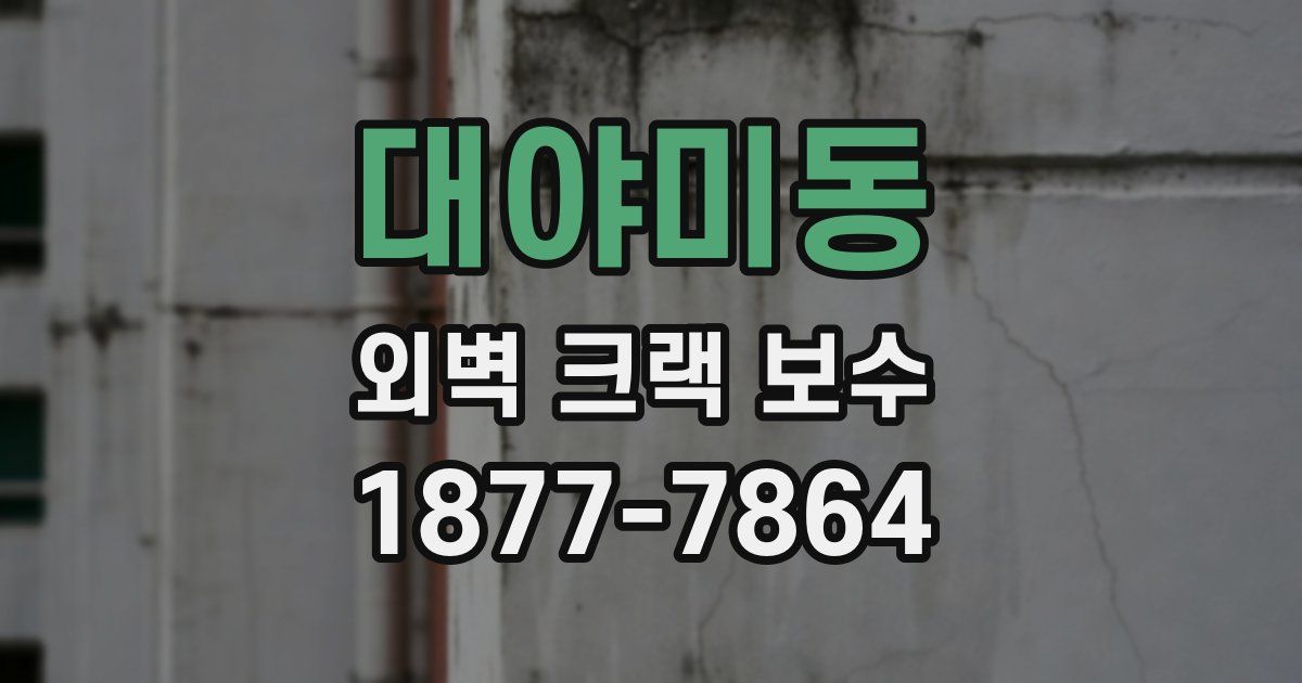 대야미동 외벽 크랙 보수