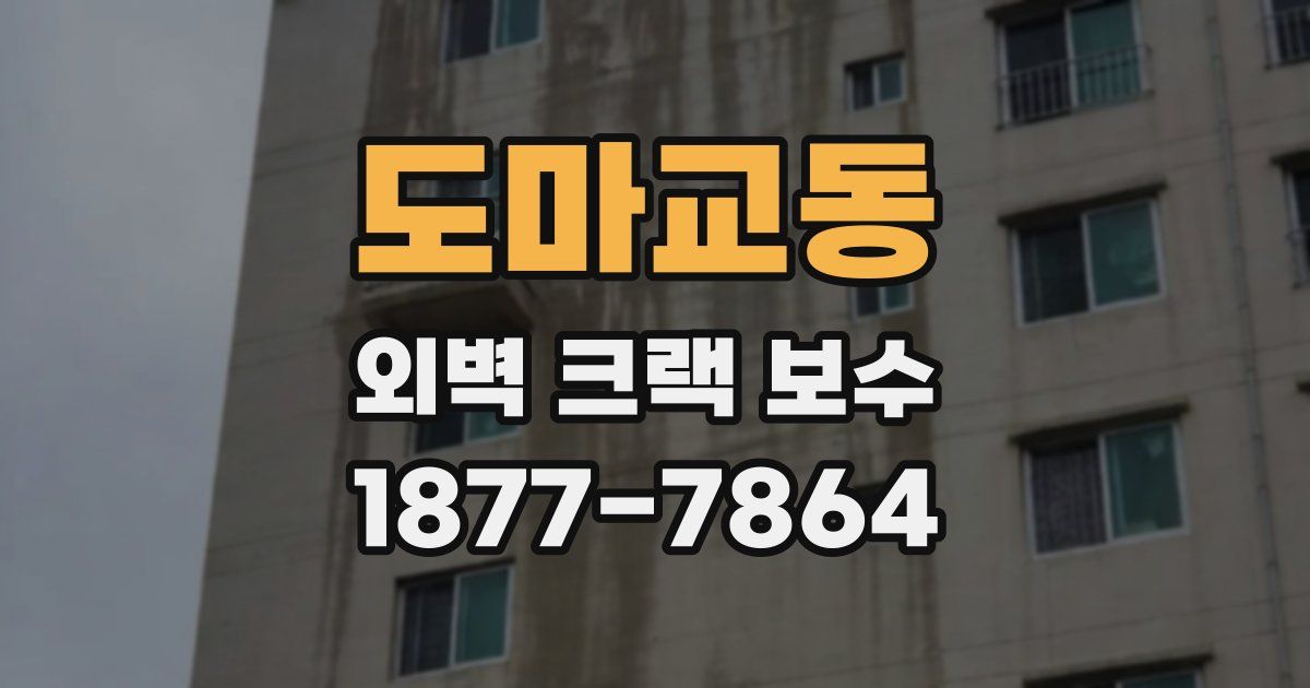 도마교동 외벽 크랙 보수