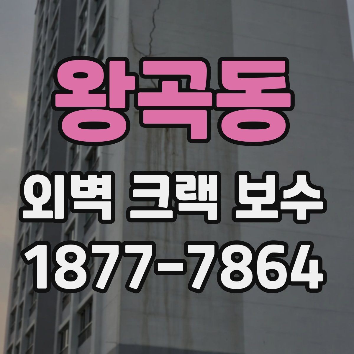 왕곡동 외벽 크랙 보수 공사 전 점검해야 할 균열 상태
