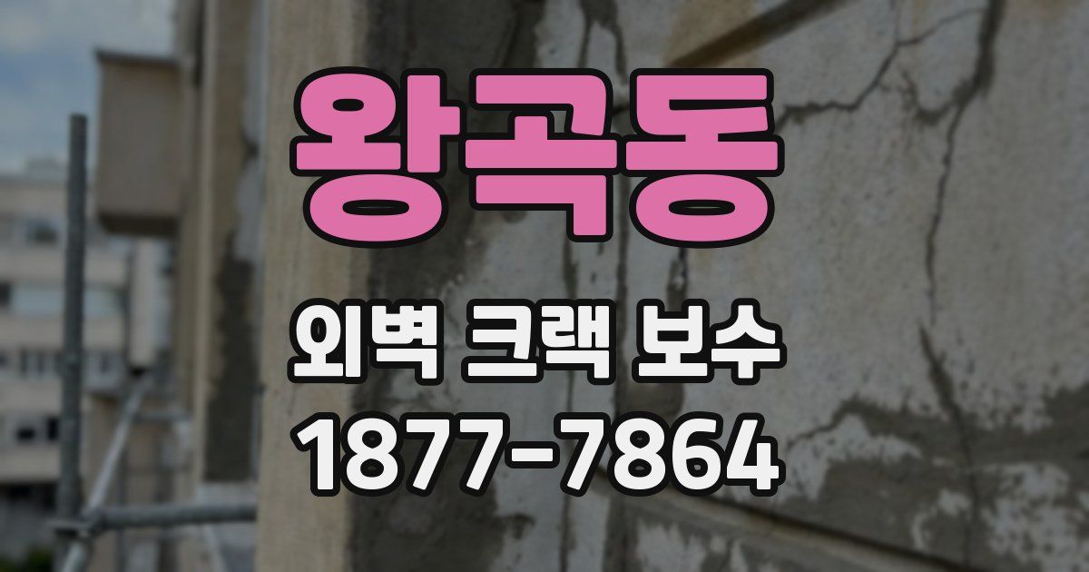 왕곡동 외벽 크랙 보수