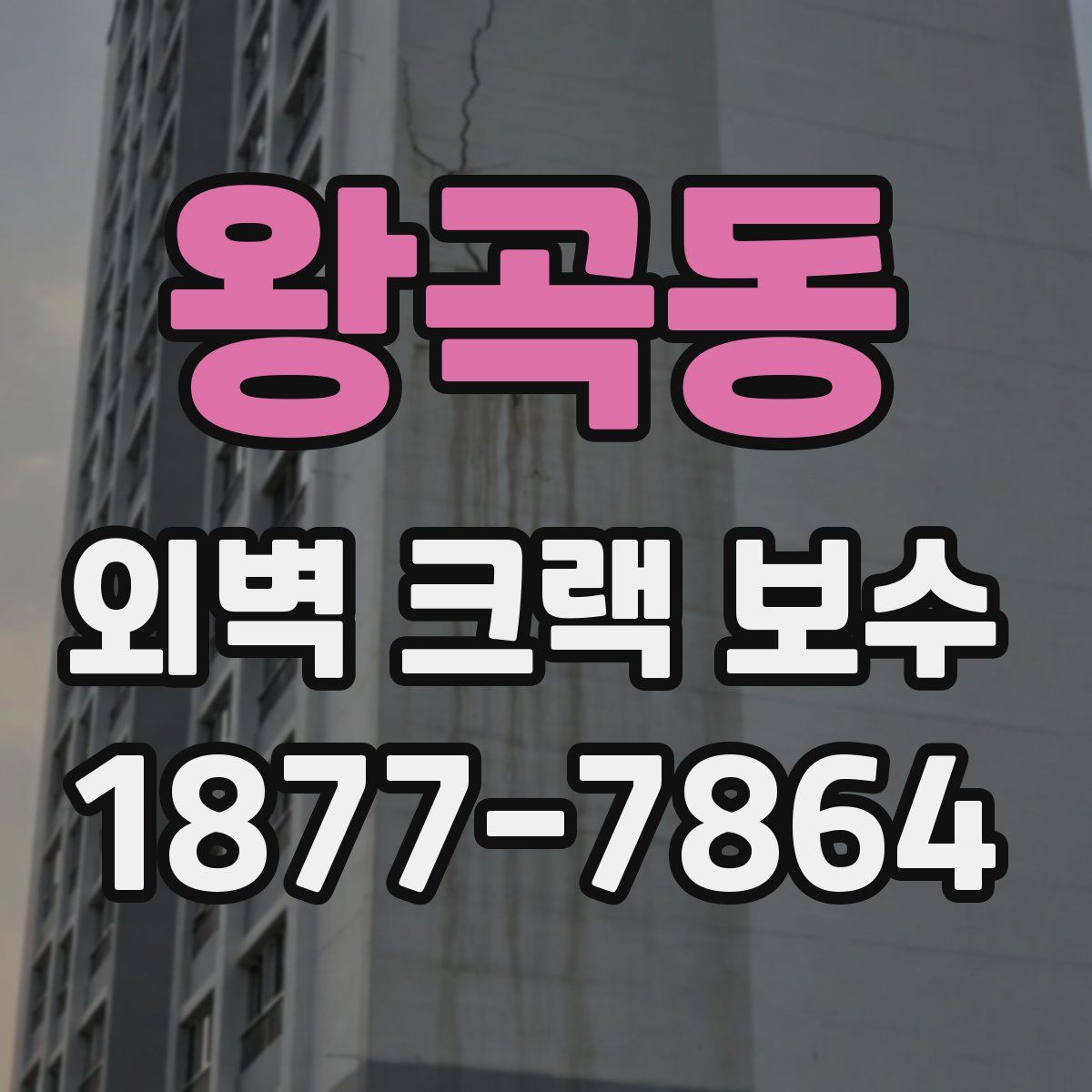 왕곡동 외벽 크랙 보수
