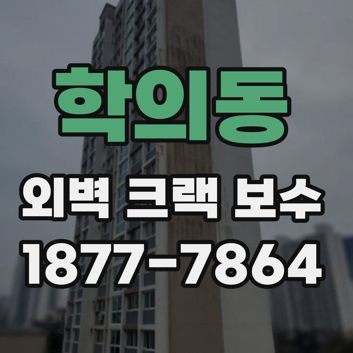 학의동 외벽 크랙 보수