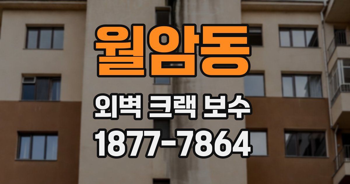 월암동 외벽 크랙 보수