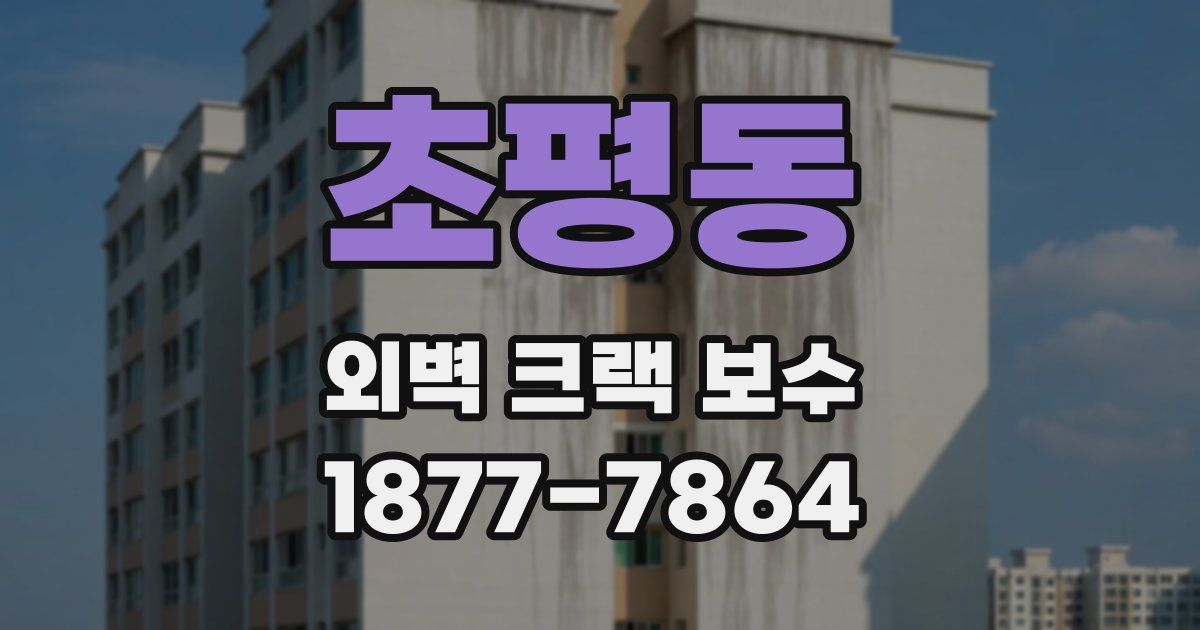 초평동 외벽 크랙 보수