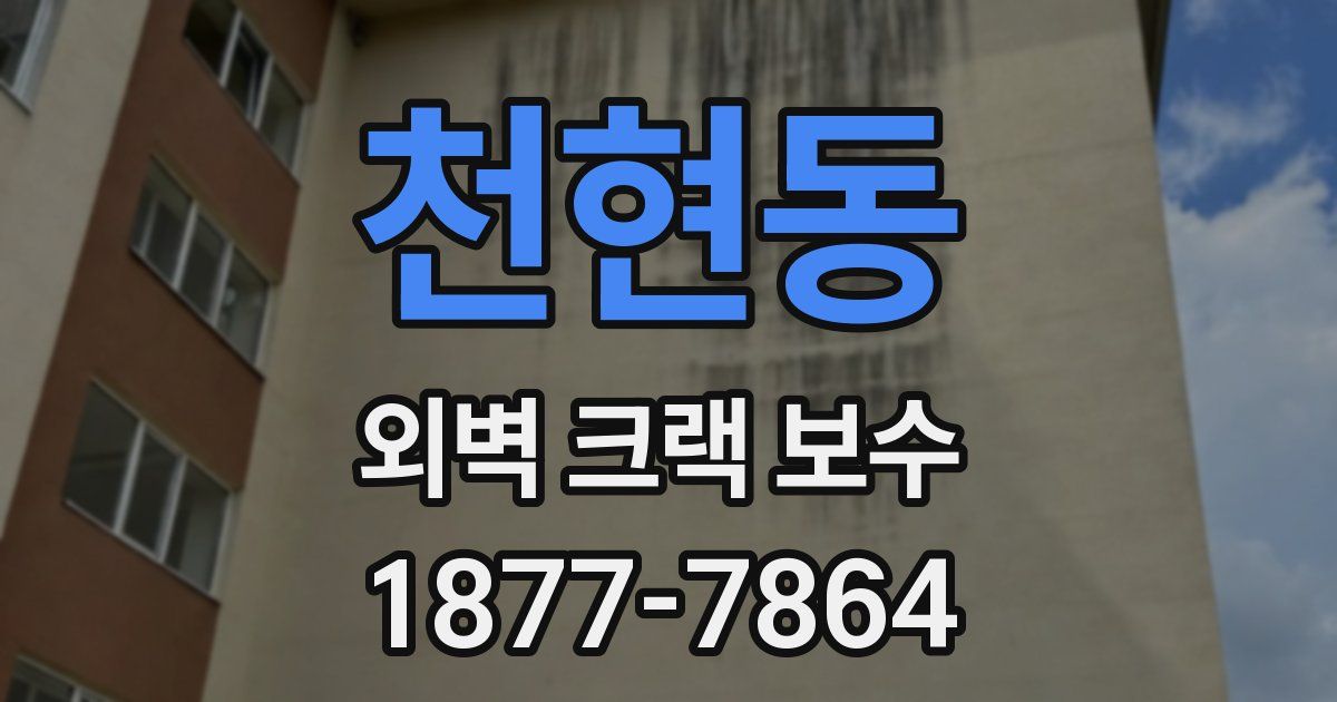 천현동 외벽 크랙 보수