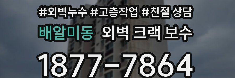배알미동 외벽 크랙 보수