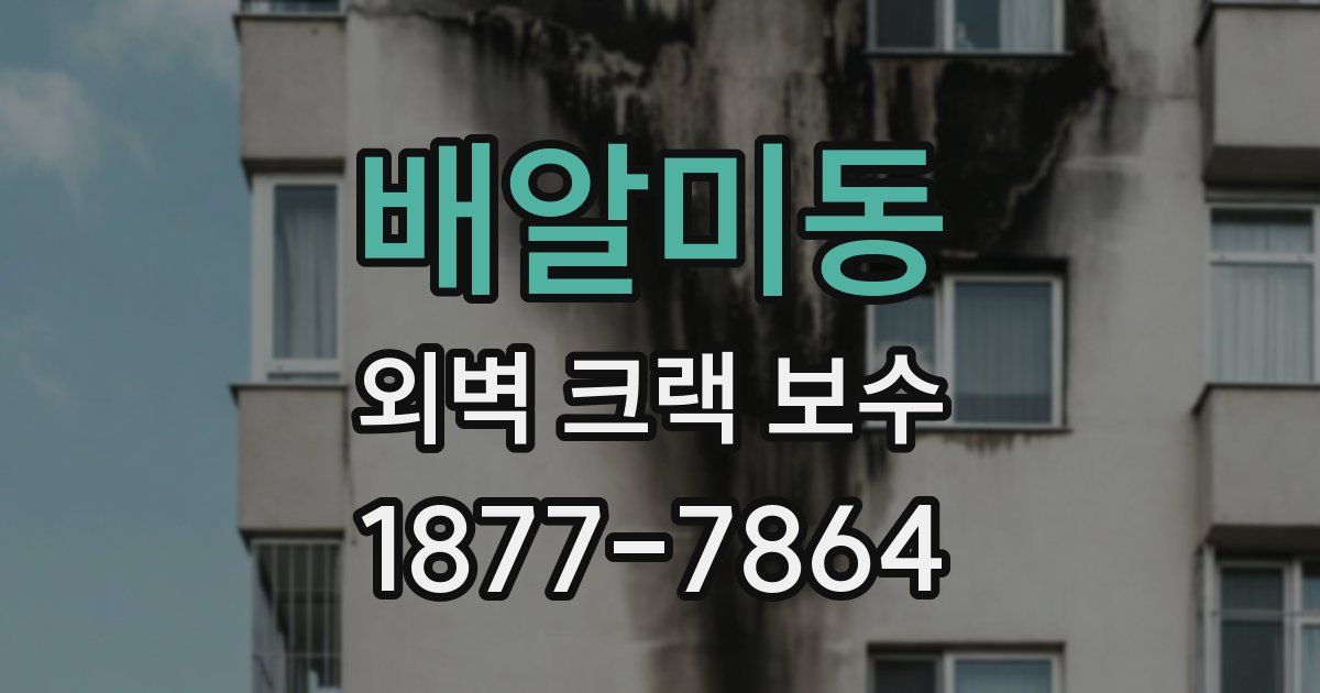 배알미동 외벽 크랙 보수