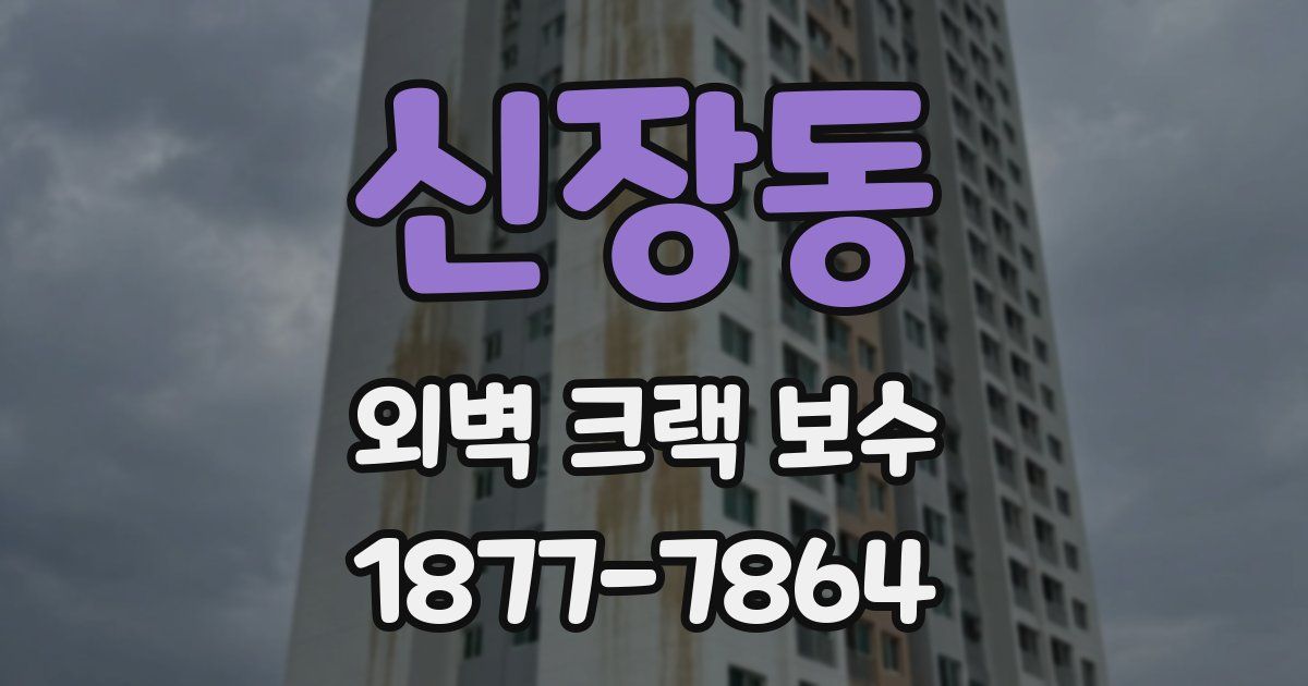 신장동 외벽 크랙 보수