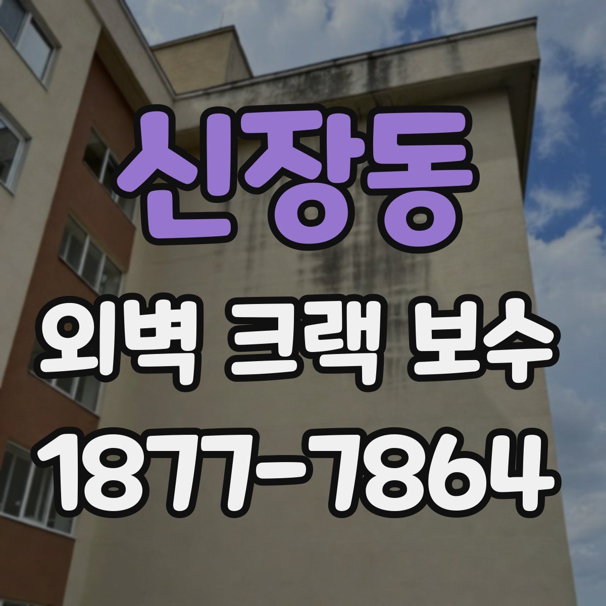 신장동 외벽 크랙 보수