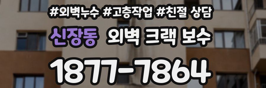 신장동 외벽 크랙 보수
