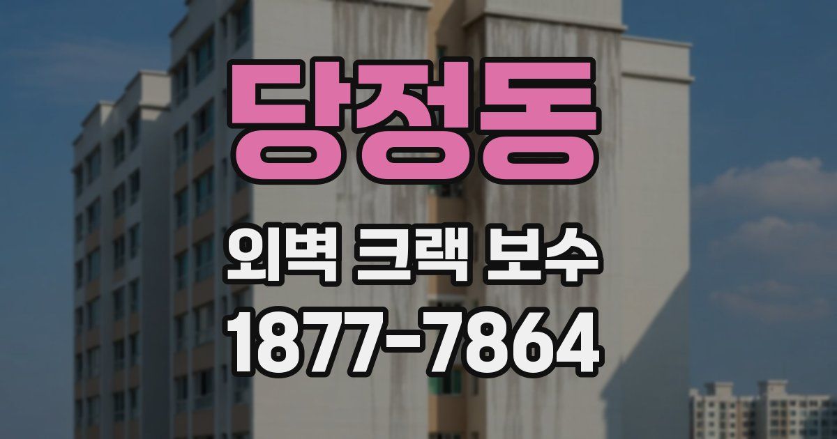 당정동 외벽 크랙 보수