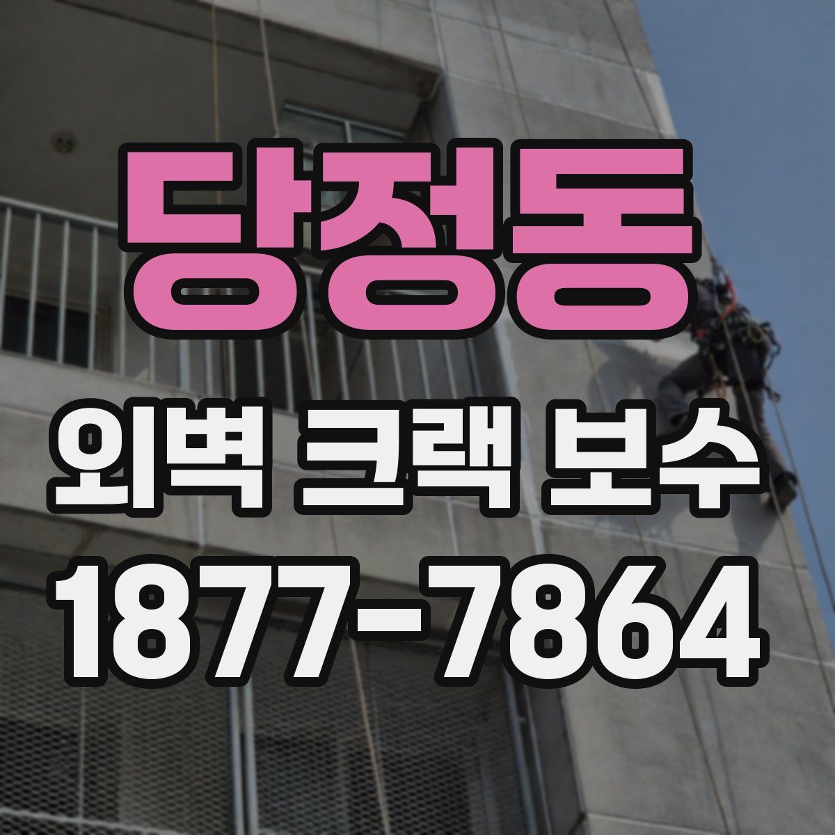 당정동 외벽 크랙 보수