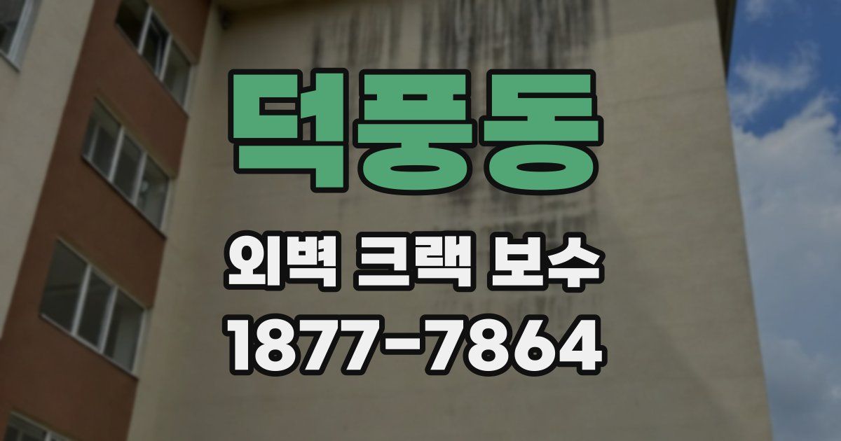 덕풍동 외벽 크랙 보수