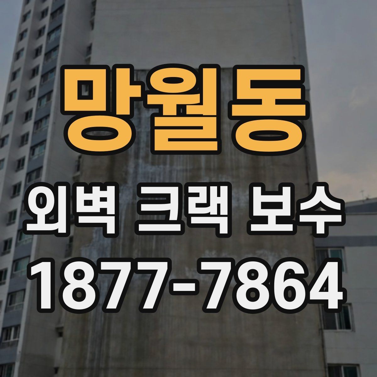 망월동 외벽 크랙 보수 계획을 세울 때 고려할 순서