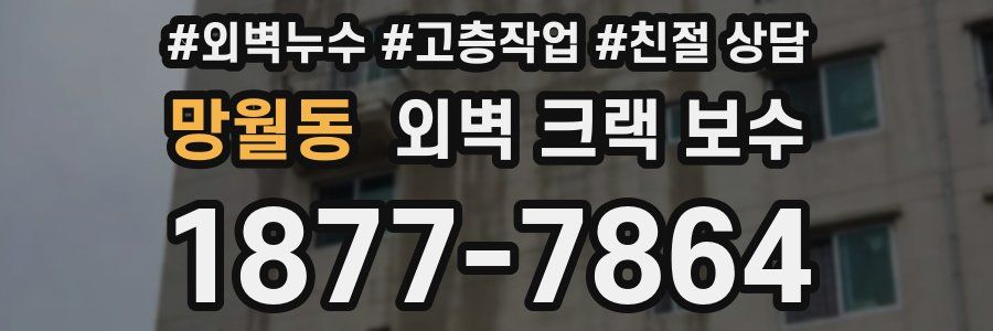 망월동 외벽 크랙 보수