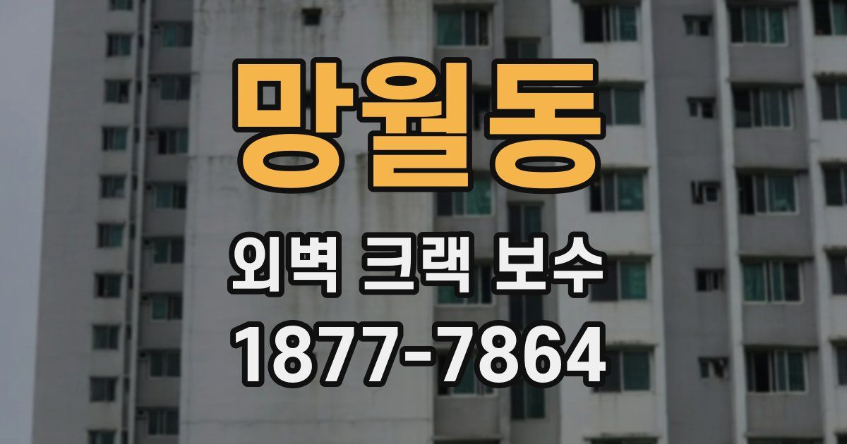 망월동 외벽 크랙 보수