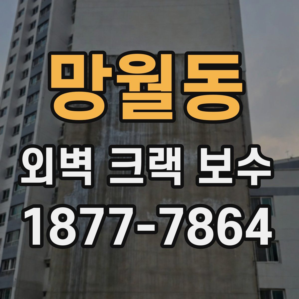 망월동 외벽 크랙 보수