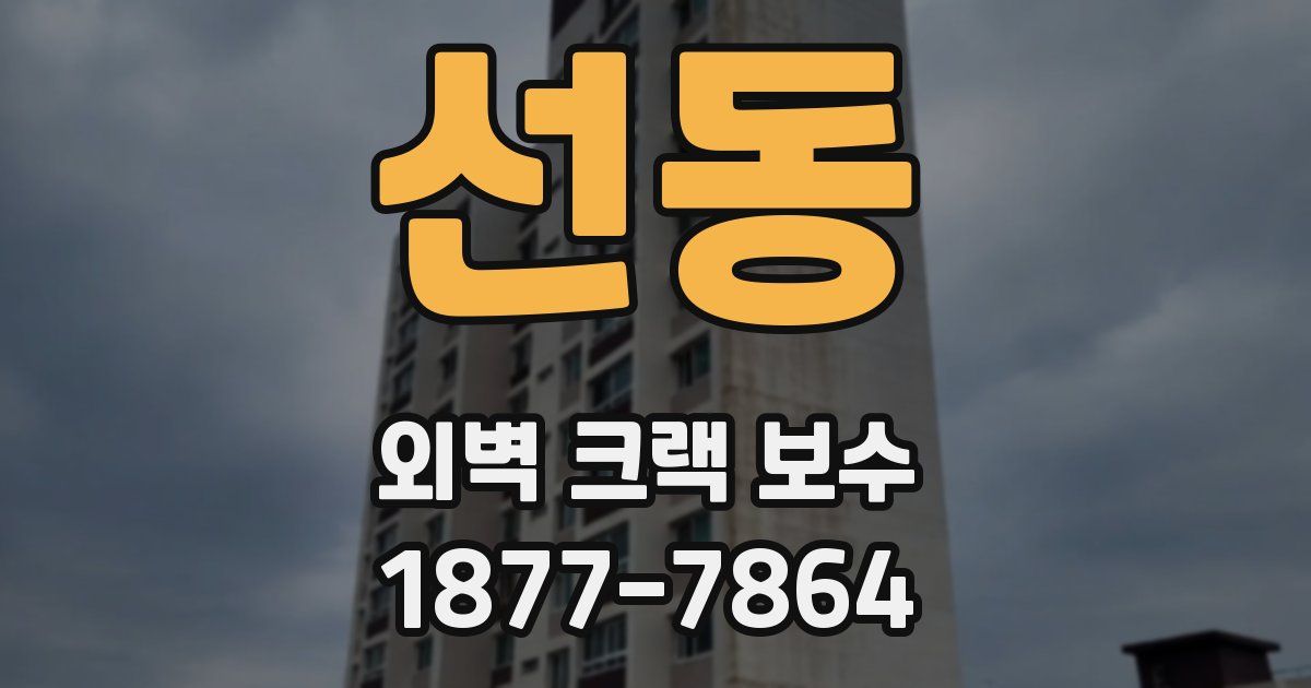 선동 외벽 크랙 보수