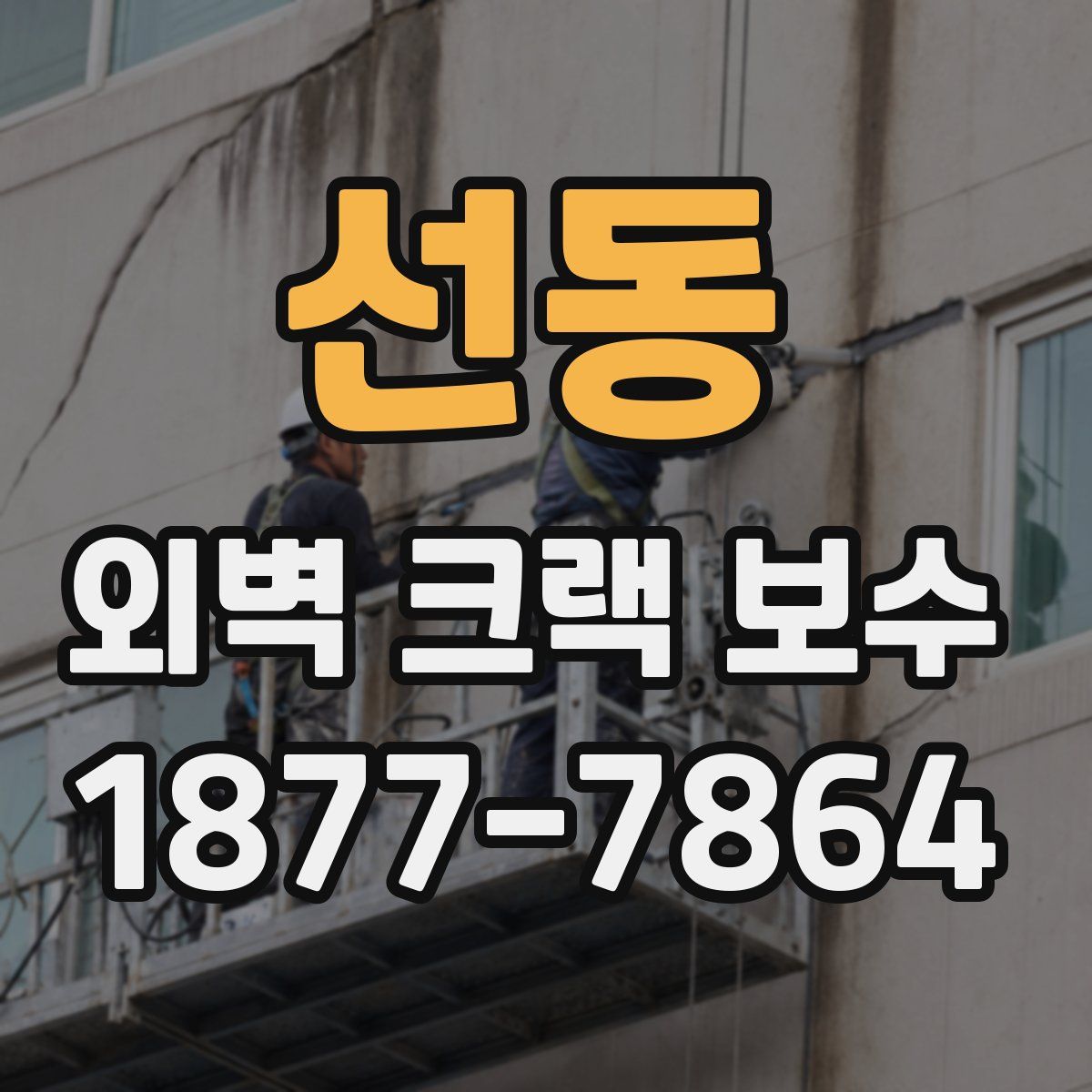 선동 외벽 크랙 보수