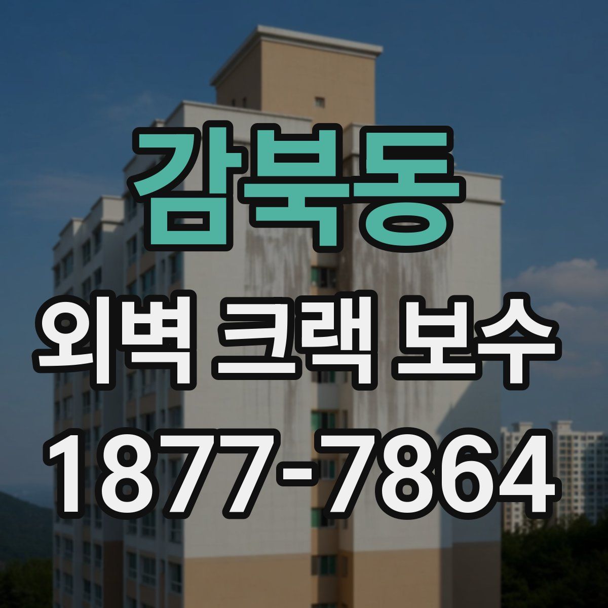 감북동 외벽 크랙 보수