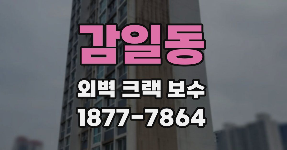 감일동 외벽 크랙 보수