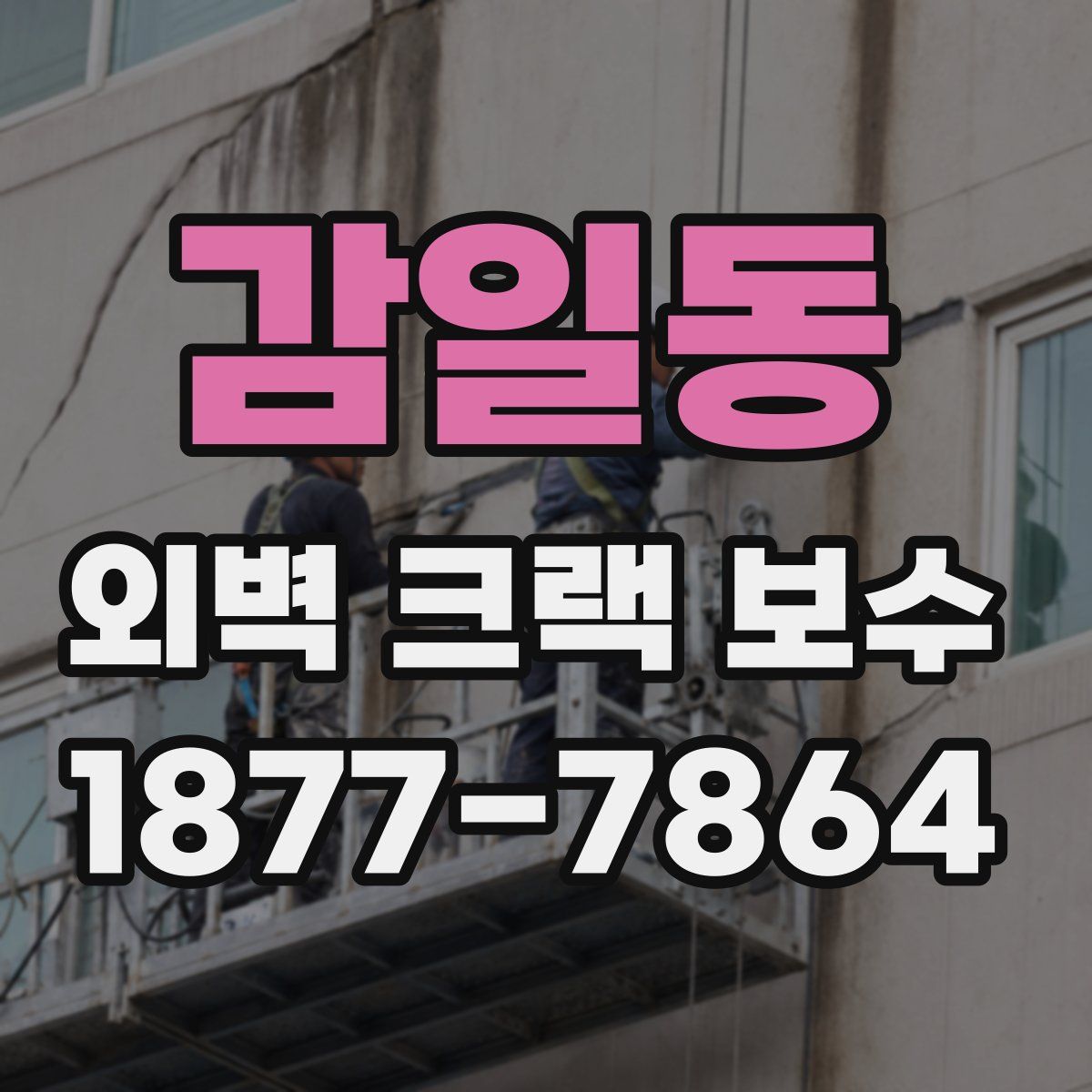 감일동 외벽 크랙 보수