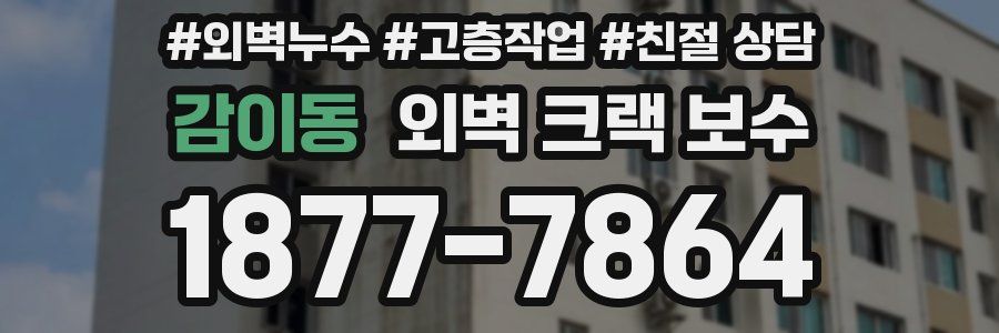 감이동 외벽 크랙 보수