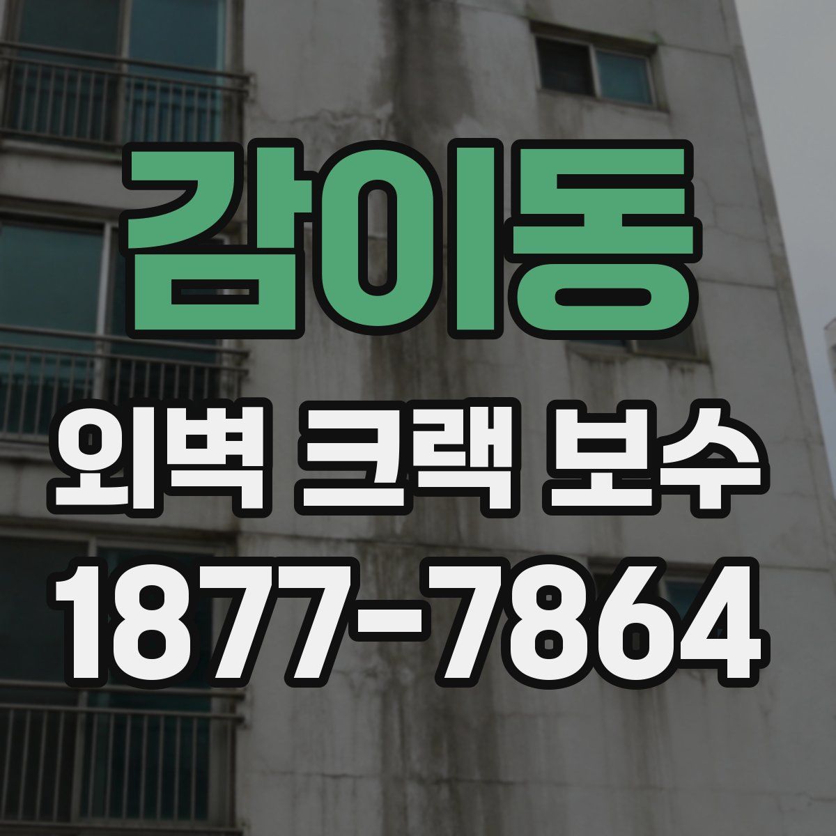 감이동 외벽 크랙 보수