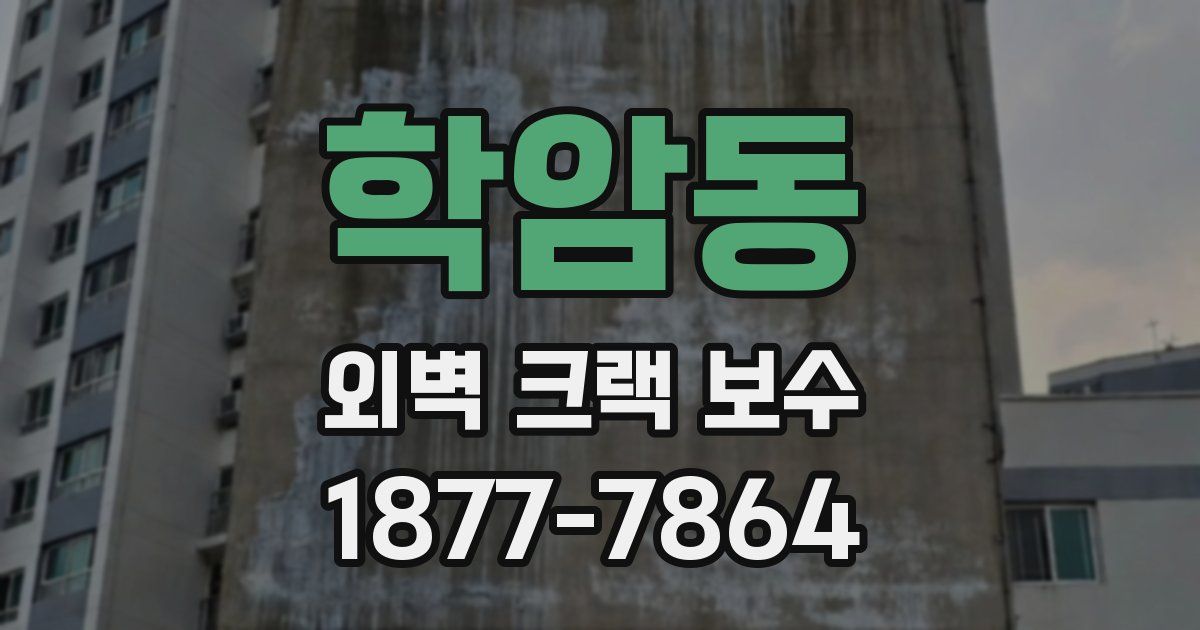 학암동 외벽 크랙 보수