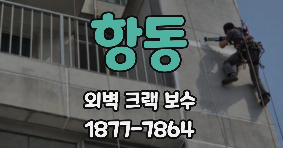 항동 외벽 크랙 보수