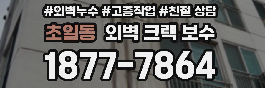 초일동 외벽 크랙 보수