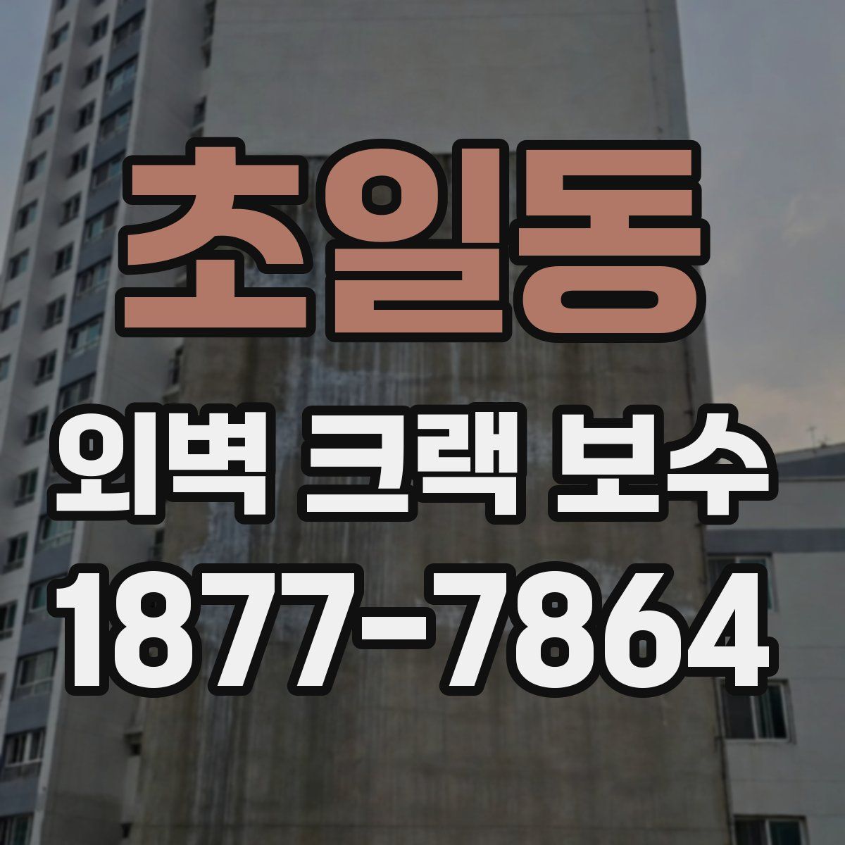 초일동 외벽 크랙 보수