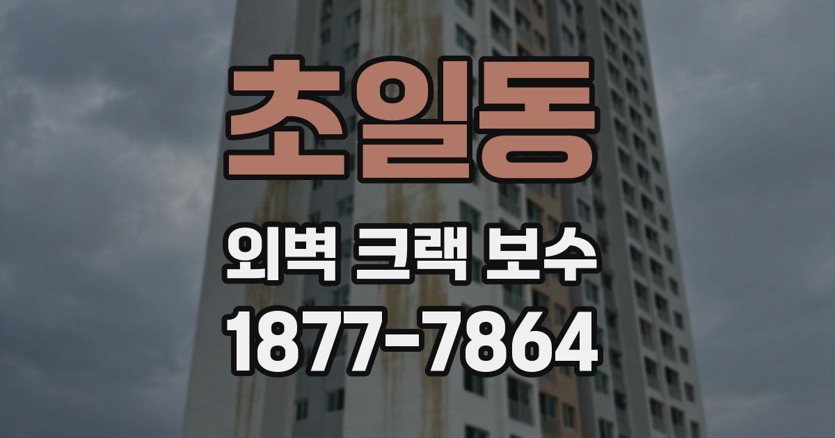 초일동 외벽 크랙 보수