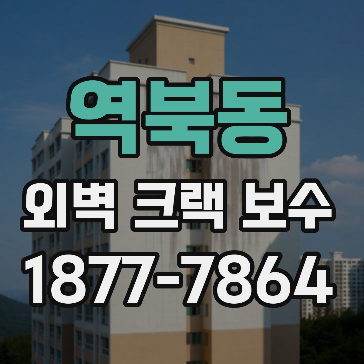 역북동 외벽 크랙 보수