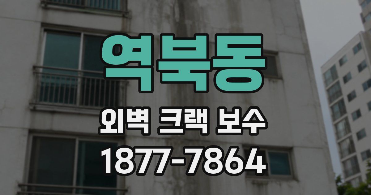 역북동 외벽 크랙 보수