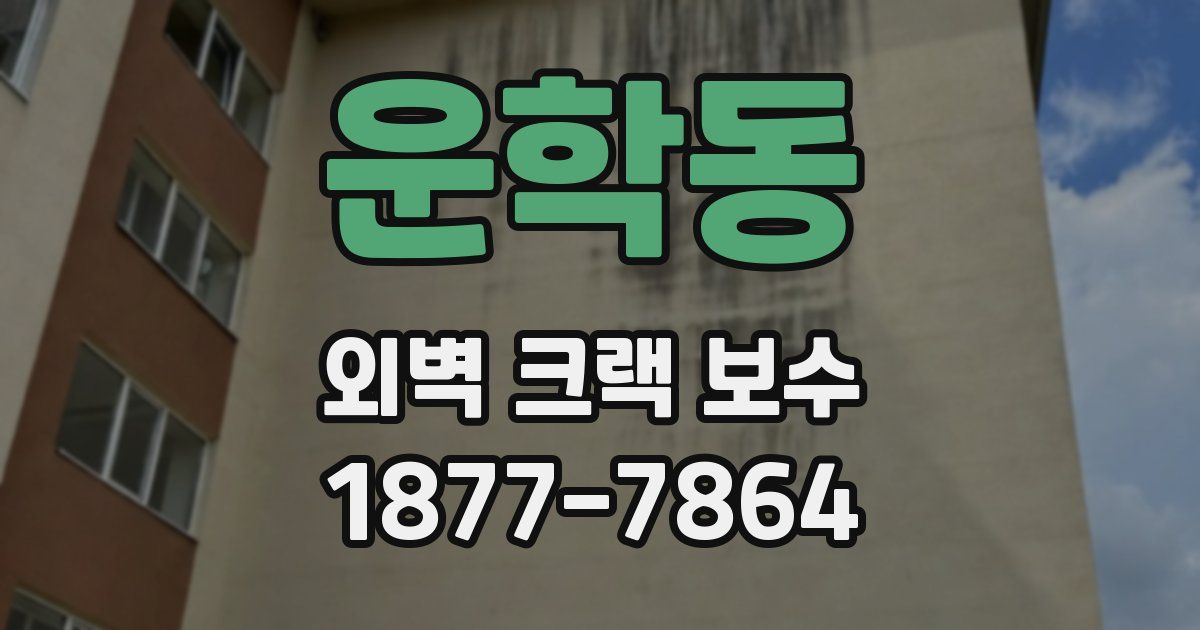 운학동 외벽 크랙 보수