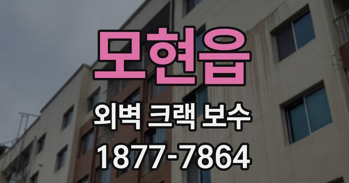 모현읍 외벽 크랙 보수