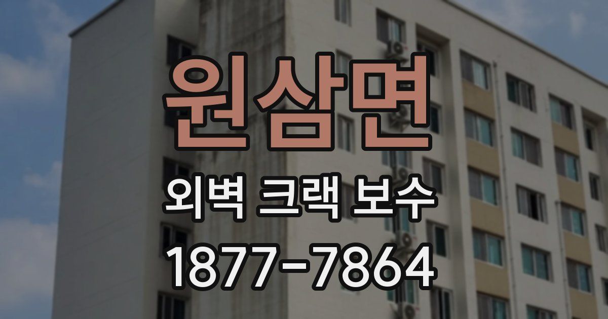원삼면 외벽 크랙 보수