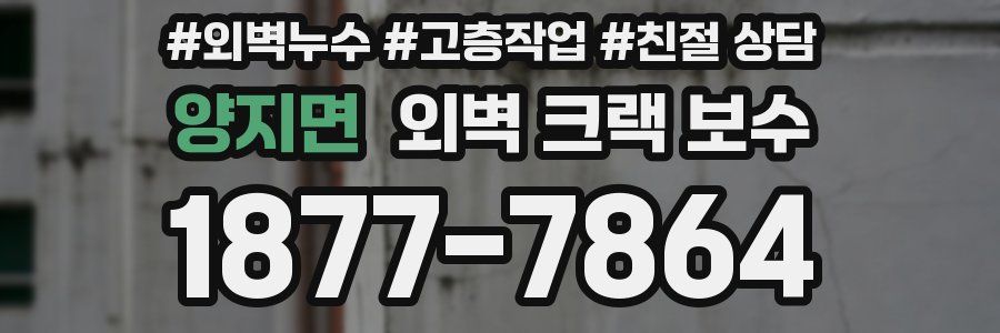 양지면 외벽 크랙 보수