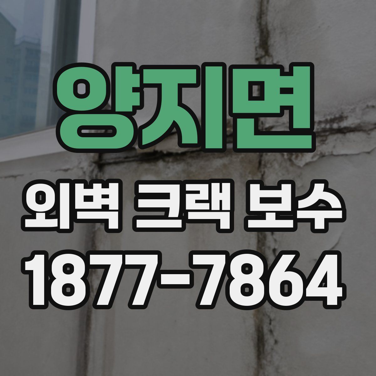 양지면 외벽 크랙 보수