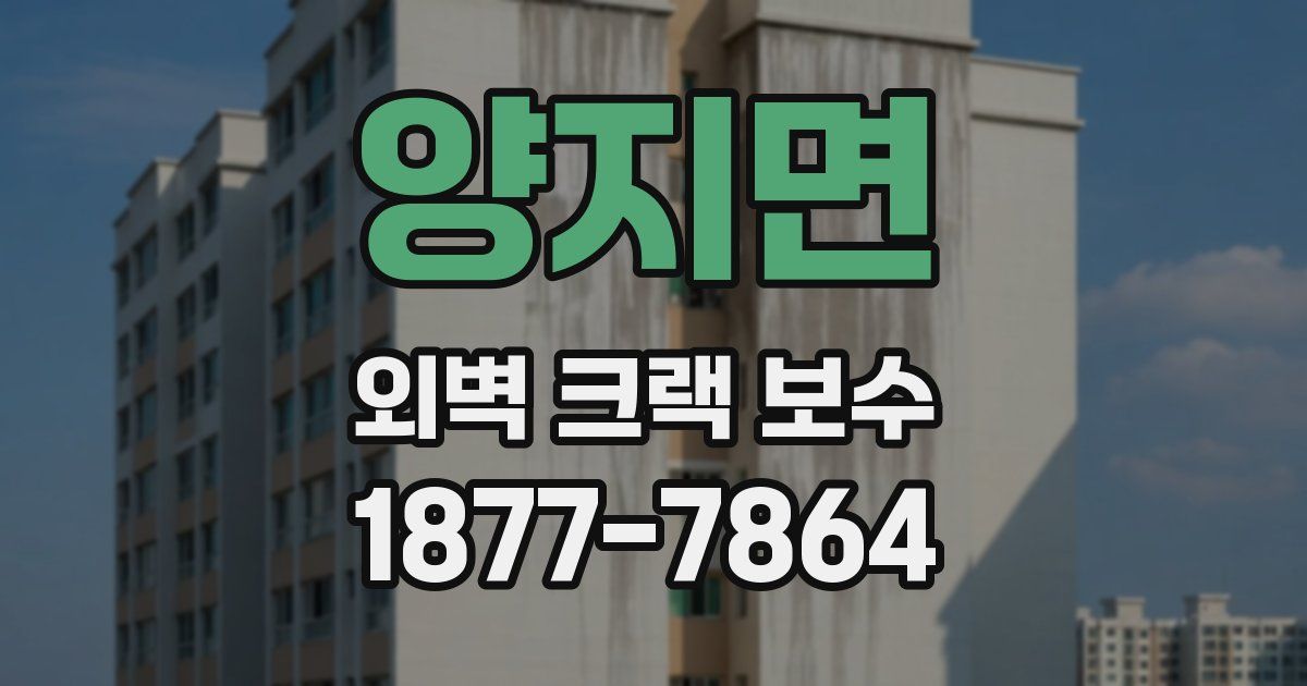 양지면 외벽 크랙 보수