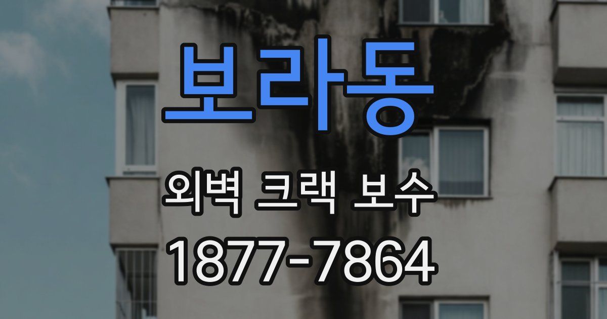 보라동 외벽 크랙 보수